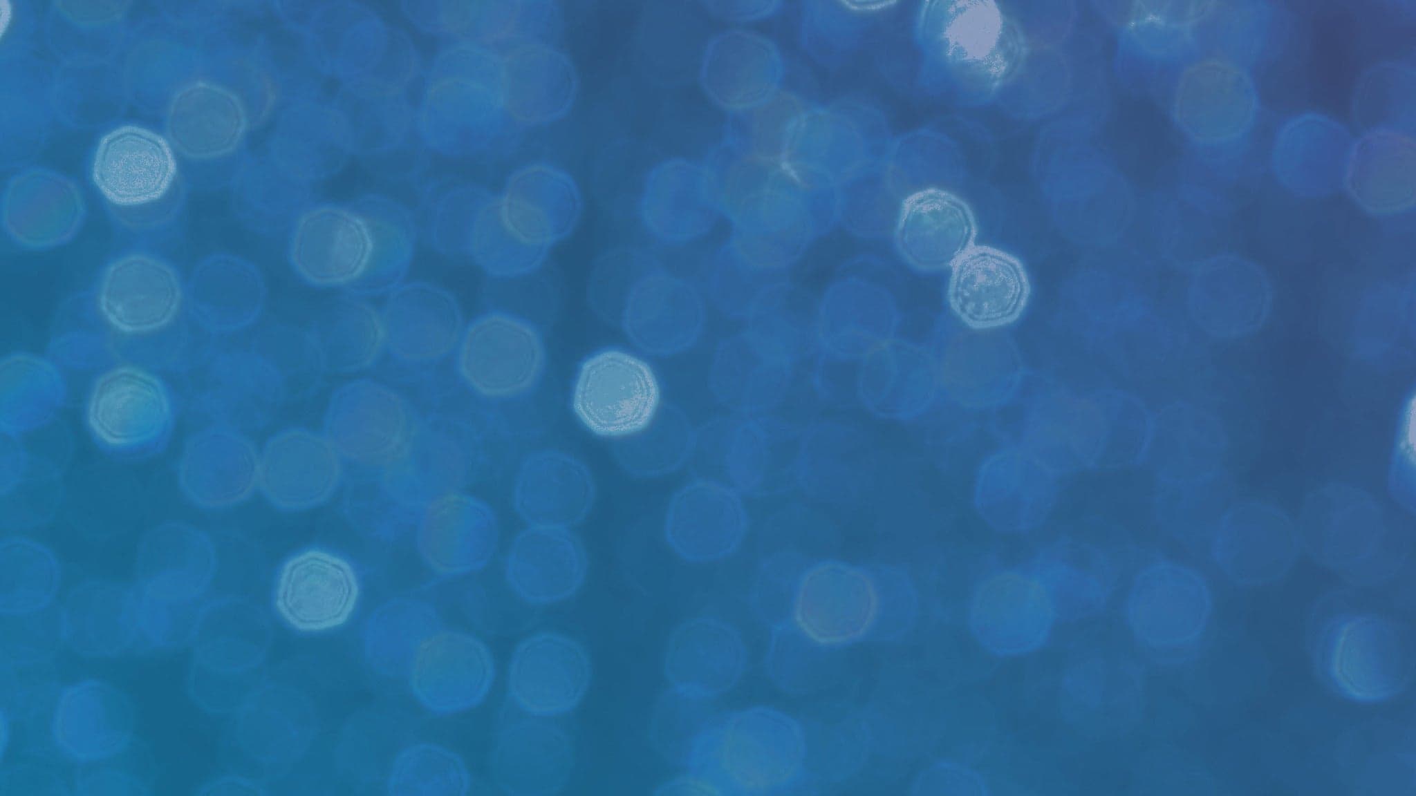 2026 BankNH Pavilion Season